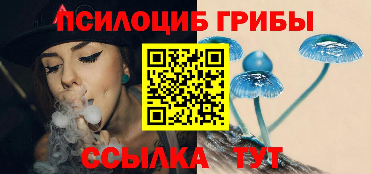 Галлюциногенные грибы ЛСД  Псилоцибиновые грибы Psilocybine cubensis  Старая Русса  Вход с VPN 